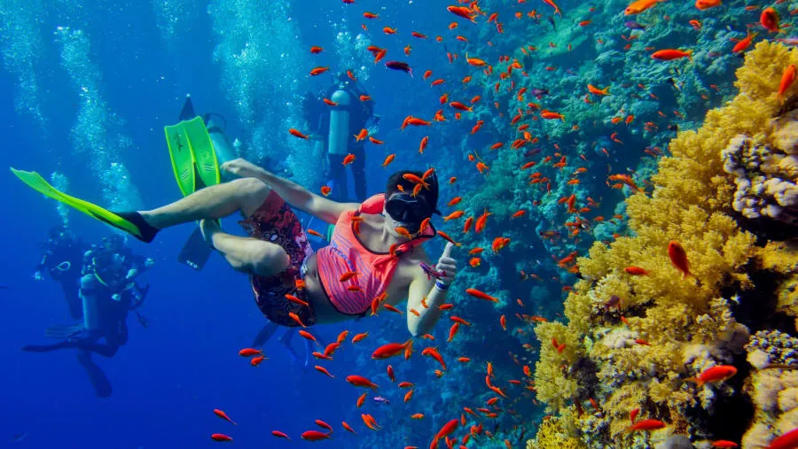 Escape to Mnemba Island
